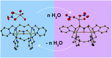 Graphical abstract: Adsorption of water induces a reversible structural phase transition and colour change in new nickel(ii) macrocyclic complexes forming flexible supramolecular networks