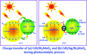Graphical abstract: Design and construction of the sandwich-like Z-scheme multicomponent CdS/Ag/Bi2MoO6 heterostructure with enhanced photocatalytic performance in RhB photodegradation