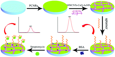 Graphical abstract: A regular “signal attenuation” electrochemical aptasensor for highly sensitive detection of streptomycin