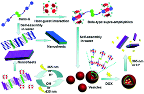 Graphical abstract: Dual-responsive self-assembly of a bola-type supra-amphiphile constructed from a new pillar[6]arene-based recognition motif in water and its application in controlled release