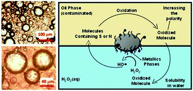 Graphical abstract: Fe/C and FeMo/C hybrid materials for the biphasic oxidation of fuel contaminants