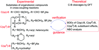 Graphical abstract: Computational study on C–B homolytic bond dissociation enthalpies of organoboron compounds