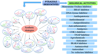 Graphical abstract: Review: biologically active pyrazole derivatives