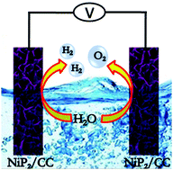 Graphical abstract: Efficient water splitting catalyzed by flexible NiP2 nanosheet array electrodes under both neutral and alkaline solutions