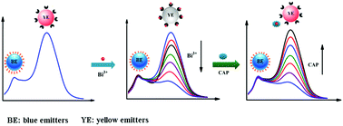 Graphical abstract: Ratiometric captopril assay based on the recovery of the Bi(iii)-quenched yellow fluorescence of dually emitting carbon nanodots