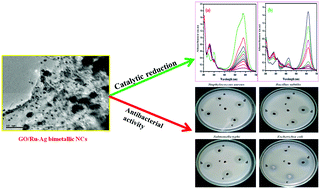 Graphical abstract: Insights into the catalytic reduction of organic dyes and antibacterial activity of graphene oxide supported mono and bimetallic nanocomposites