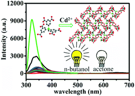 Graphical abstract: A microporous Cd-MOF based on a hexavalent silicon-centred connector and luminescence sensing of small molecules