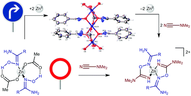 Graphical abstract: Trinuclear (aminonitrone)ZnII complexes as key intermediates in zinc(ii)-mediated generation of 1,2,4-oxadiazoles from amidoximes and nitriles