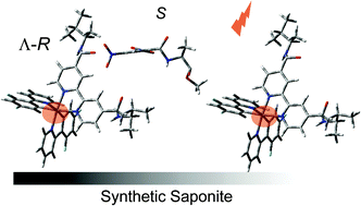 Graphical abstract: Chiral phosphorescent probes for amino acids: hybrids of iridium(iii) complexes with synthetic saponite