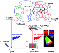 Graphical abstract: Carbazole functionalized new bipolar ligand for monochromatic red light-emitting europium(iii) complex: combined experimental and theoretical study