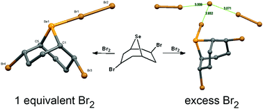 Graphical abstract: First structural evidence of a Se–Br–Br halogen-bonded molecular complex