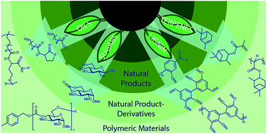 Graphical abstract: Monomer design strategies to create natural product-based polymer materials