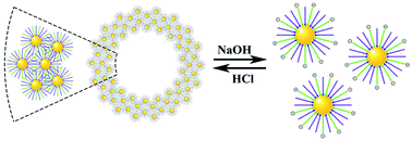 Graphical abstract: pH-Responsive reversible self-assembly of gold nanoparticles into nanovesicles