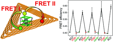 Graphical abstract: An ion-controlled four-color fluorescent telomeric switch on DNA origami structures