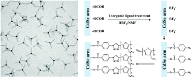 Graphical abstract: Semiconducting organic–inorganic nanocomposites by intimately tethering conjugated polymers to inorganic tetrapods