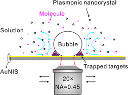 Graphical abstract: Surface-enhanced Raman scattering via entrapment of colloidal plasmonic nanocrystals by laser generated microbubbles on random gold nano-islands