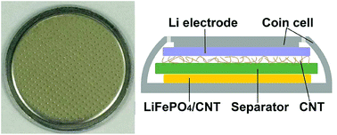 Graphical abstract: The effect of the carbon nanotube buffer layer on the performance of a Li metal battery