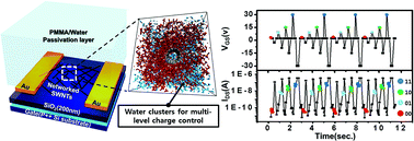 Graphical abstract: Multilevel non-volatile data storage utilizing common current hysteresis of networked single walled carbon nanotubes
