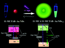 Graphical abstract: Photoassisted photoluminescence fine-tuning of gold nanodots through free radical-mediated ligand-assembly