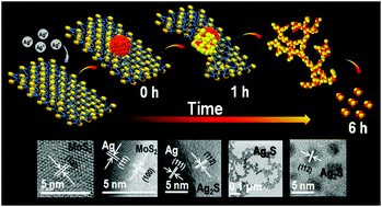 Graphical abstract: Unusual reactivity of MoS2 nanosheets