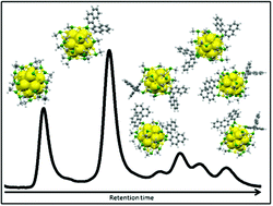 Graphical abstract: Isolation of atomically precise mixed ligand shell PdAu24 clusters