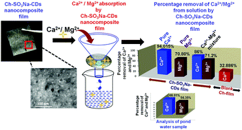 Graphical abstract: A sulphonated carbon dot–chitosan hybrid hydrogel nanocomposite as an efficient ion-exchange film for Ca2+ and Mg2+ removal