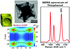 Graphical abstract: A study of the depth and size of concave cube Au nanoparticles as highly sensitive SERS probes