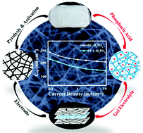 Graphical abstract: All-biomaterial supercapacitor derived from bacterial cellulose