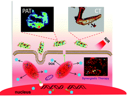 Graphical abstract: The polyvinylpyrrolidone functionalized rGO/Bi2S3 nanocomposite as a near-infrared light-responsive nanovehicle for chemo-photothermal therapy of cancer