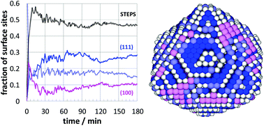 Graphical abstract: Modeling the atomistic growth behavior of gold nanoparticles in solution