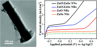 Graphical abstract: In situ formation of a ZnO/ZnSe nanonail array as a photoelectrode for enhanced photoelectrochemical water oxidation performance
