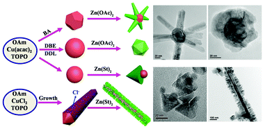 Graphical abstract: Colloidal synthesis of Cu–ZnO and Cu@CuNi–ZnO hybrid nanocrystals with controlled morphologies and multifunctional properties