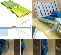 Graphical abstract: Flexible and printable paper-based strain sensors for wearable and large-area green electronics