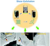 Graphical abstract: In situ TEM visualization of superior nanomechanical flexibility of shear-exfoliated phosphorene
