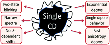 Graphical abstract: The origin of emissive states of carbon nanoparticles derived from ensemble-averaged and single-molecular studies
