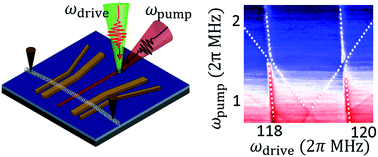 Graphical abstract: Parametric strong mode-coupling in carbon nanotube mechanical resonators