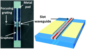 Graphical abstract: High-responsivity graphene-on-silicon slot waveguide photodetectors