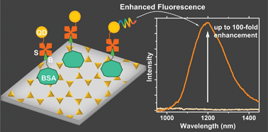 Graphical abstract: Significant metal enhanced fluorescence of Ag2S quantum dots in the second near-infrared window