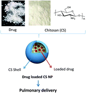 Graphical abstract: Recent advances in chitosan-based nanoparticulate pulmonary drug delivery