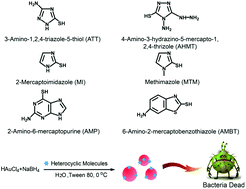 Graphical abstract: N-Heterocyclic molecule-capped gold nanoparticles as effective antibiotics against multi-drug resistant bacteria
