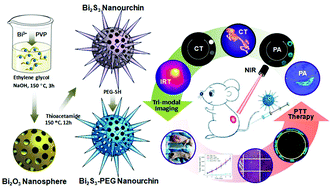 Graphical abstract: Highly porous PEGylated Bi2S3 nano-urchins as a versatile platform for in vivo triple-modal imaging, photothermal therapy and drug delivery