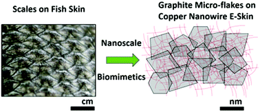 Graphical abstract: Skin inspired fractal strain sensors using a copper nanowire and graphite microflake hybrid conductive network
