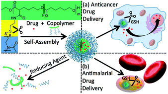 Graphical abstract: An amphiphilic graft copolymer-based nanoparticle platform for reduction-responsive anticancer and antimalarial drug delivery