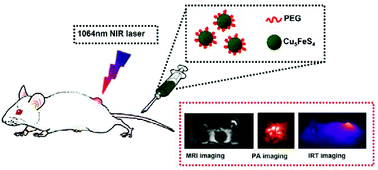 Graphical abstract: High near-infrared absorbing Cu5FeS4 nanoparticles for dual-modal imaging and photothermal therapy