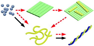 Graphical abstract: Self-assembly mechanisms of nanofibers from peptide amphiphiles in solution and on substrate surfaces