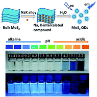Graphical abstract: Facile synthesis of optical pH-sensitive molybdenum disulfide quantum dots