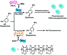 Graphical abstract: MnO2-induced synthesis of fluorescent polydopamine nanoparticles for reduced glutathione sensing in human whole blood