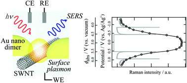 Graphical abstract: Electronic structure characterization of an individual single-walled carbon nanotube by in situ electrochemical surface-enhanced Raman scattering spectroscopy