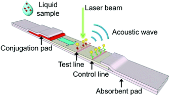 Graphical abstract: Nanoparticle-based photoacoustic analysis for highly sensitive lateral flow assays