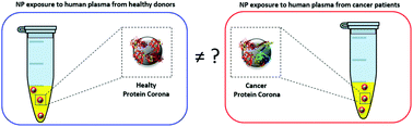Graphical abstract: A protein corona-enabled blood test for early cancer detection